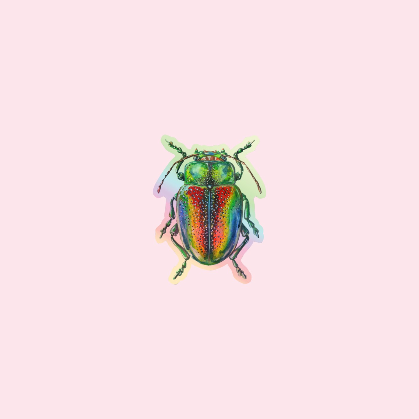 Rainbow Beetle Holo Sticker